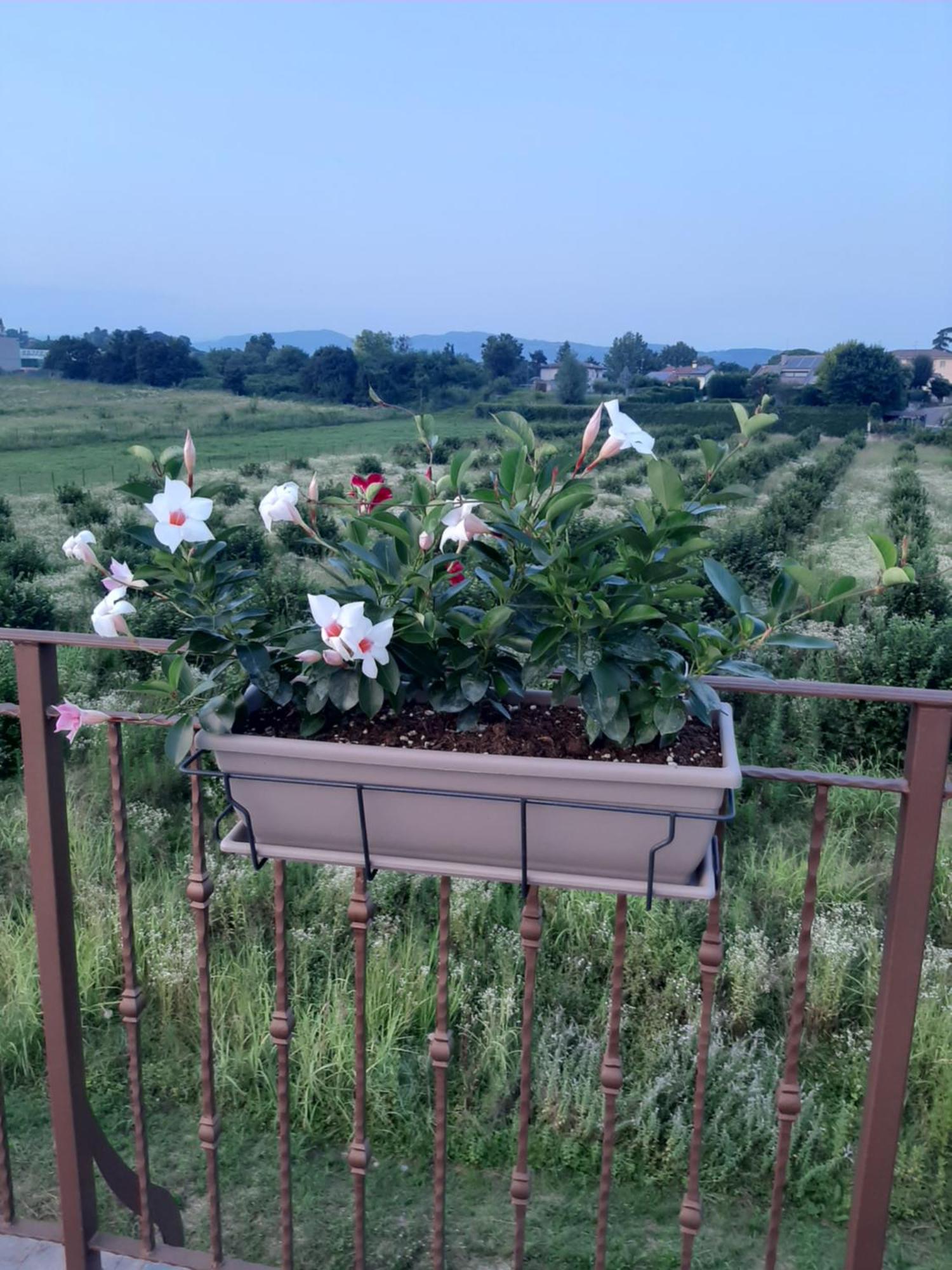 Bed And Breakfast Ca Tognella Pescantina Ngoại thất bức ảnh